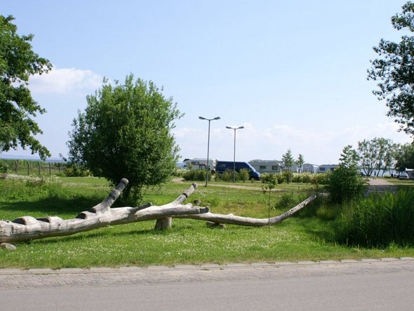 Wohnmobilstellplatz im Hafen